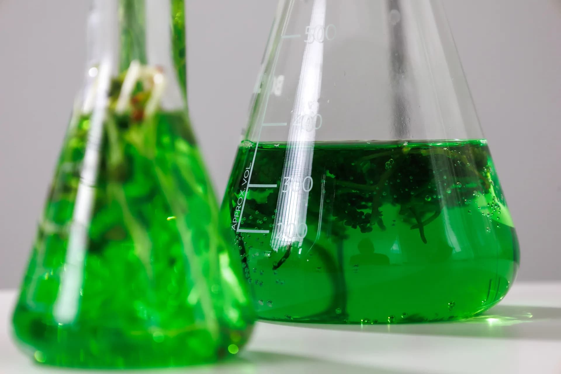 Microalgas: qué cuesta y qué incluye en 2026
